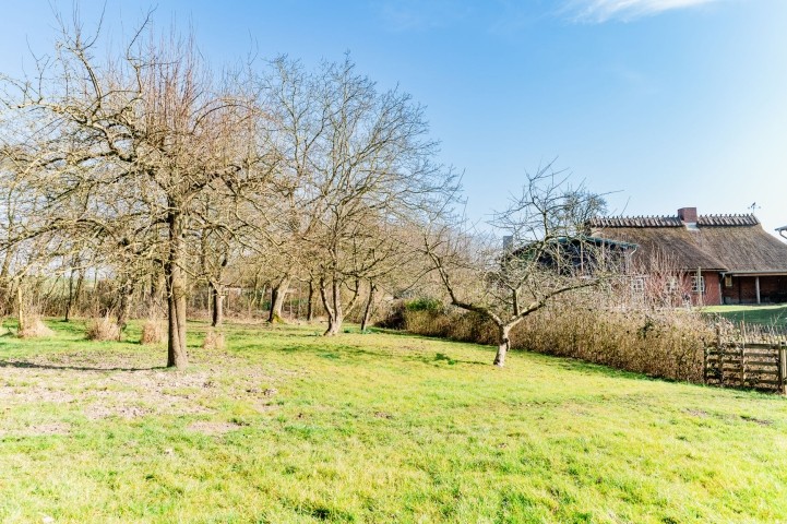 Außenbereich am Mühlenbach