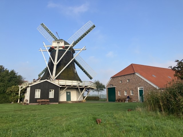 Ostfrisische Windmühle 