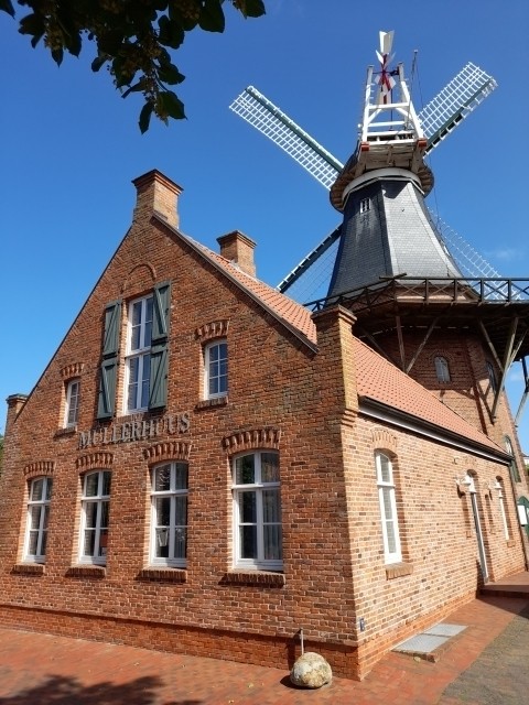 Mühle in Ditzum