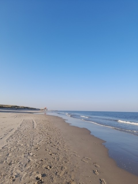 Petten endloser Strand