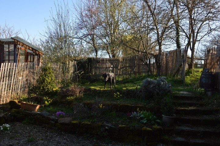 auch die Hunde finden einen ruhigen Platz im Garten