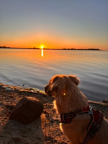 Sonnenuntergang am kleinen Naturstrand