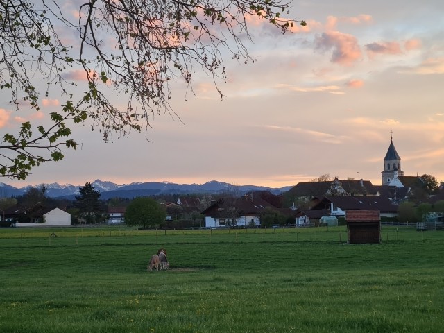 Abendstimmung in Polling