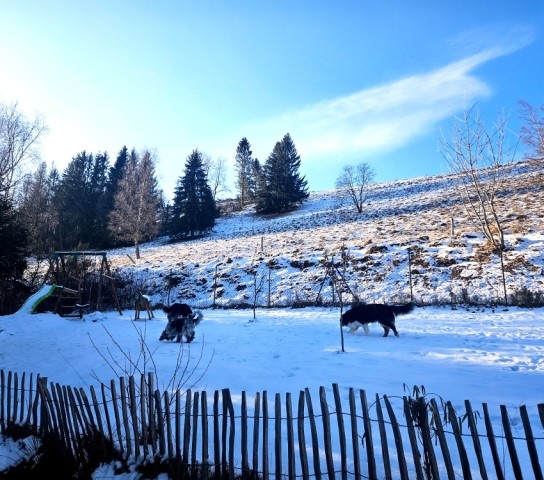 Blick von der Terrasse