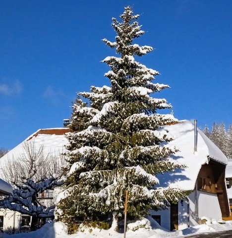 Hotzenhaus  im Winter - Südseite