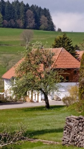 Ostseite des Hauses