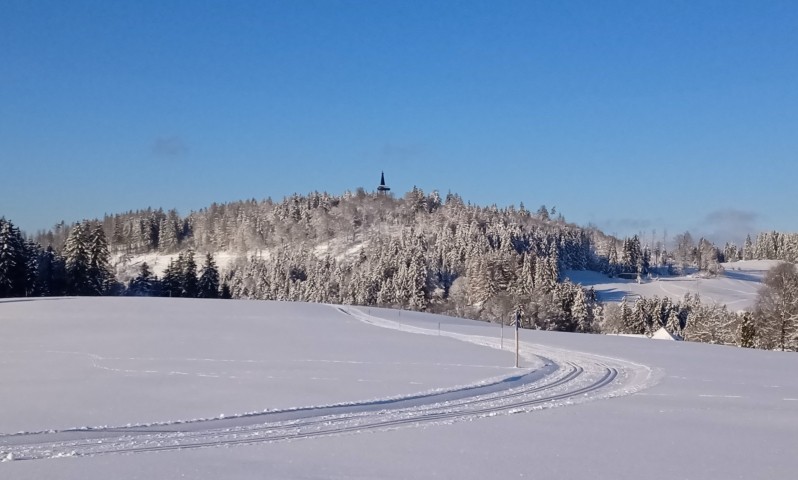 Loipennetz in Engelschwand