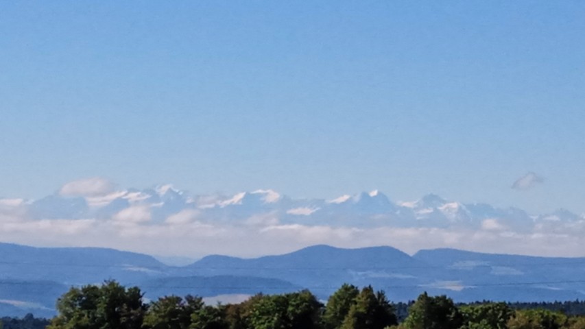 Panoramablick  in die Alpen 