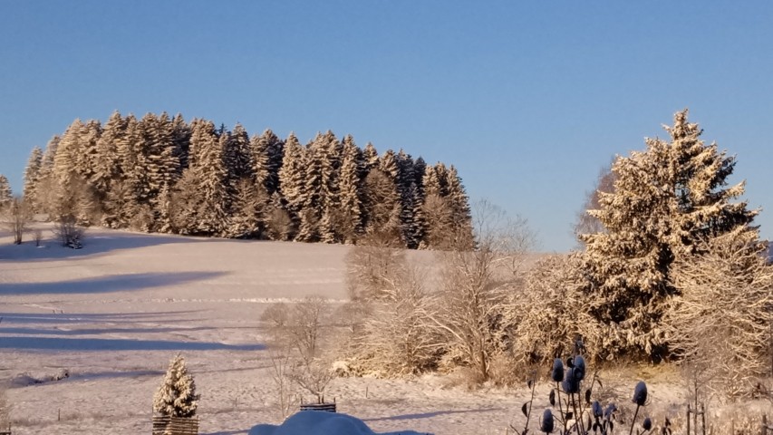 Blick vom Wohnzimmerfenster