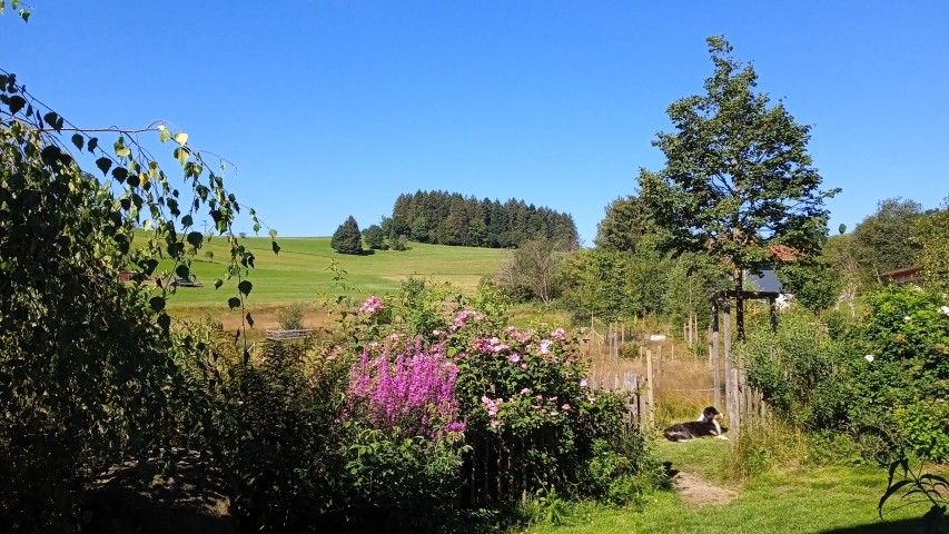 Blick vom Sitzplatz der Terasse