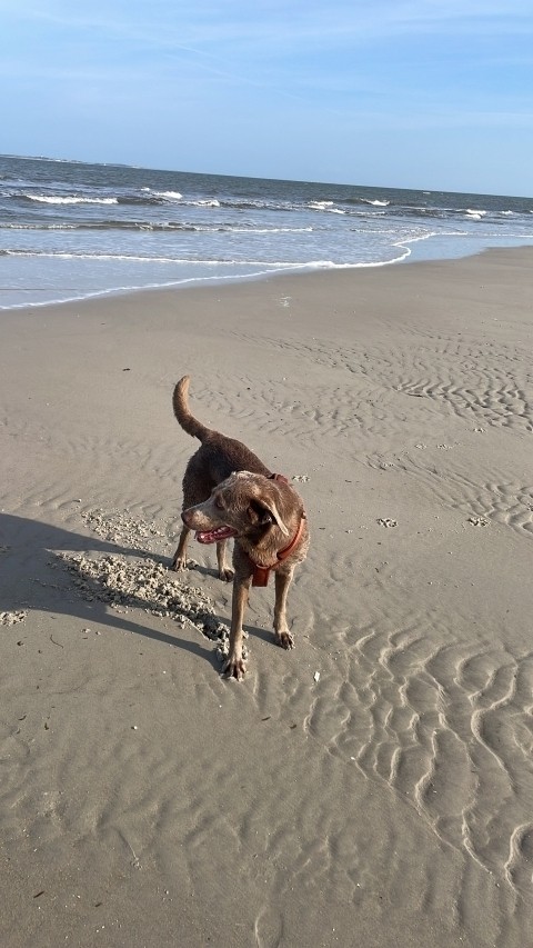 weitläufiger Strand