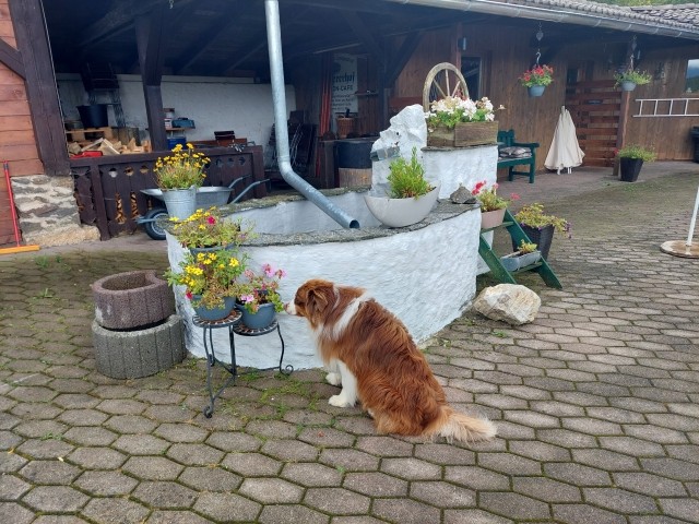 Brunnen auf der Terrasse