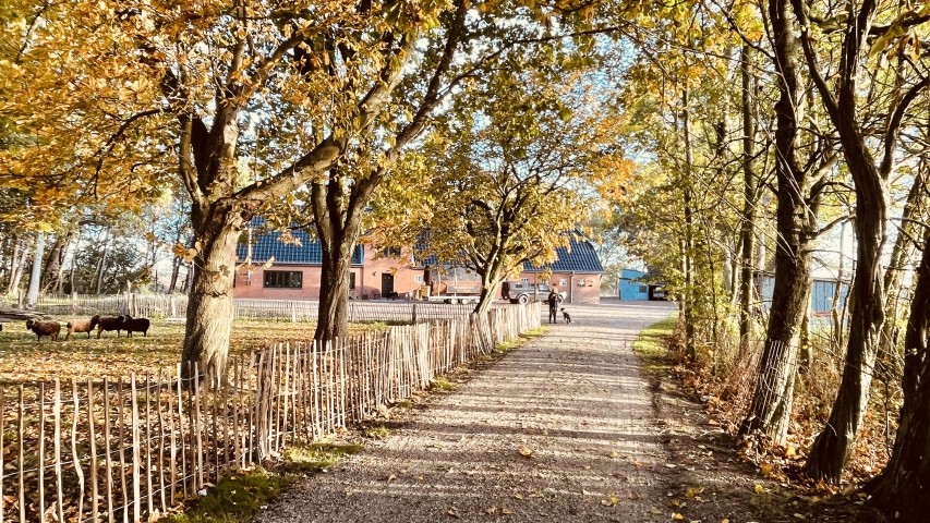 Zufahrt zum Hof