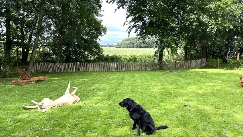 Der umzäunte Gartenbereich