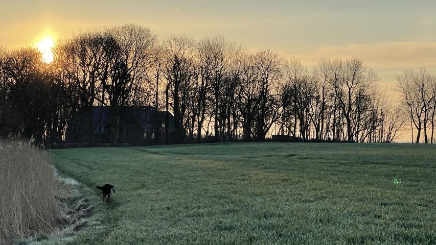 Hof in den Morgenstunden