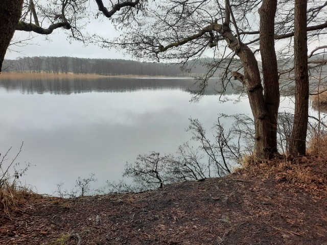 Hundebadestelle Peetschsee