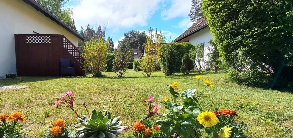 Sonniger Garten 
