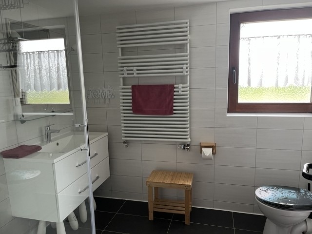 Tageslicht Badezimmer mit Dusche, Glasduschwand und WC
