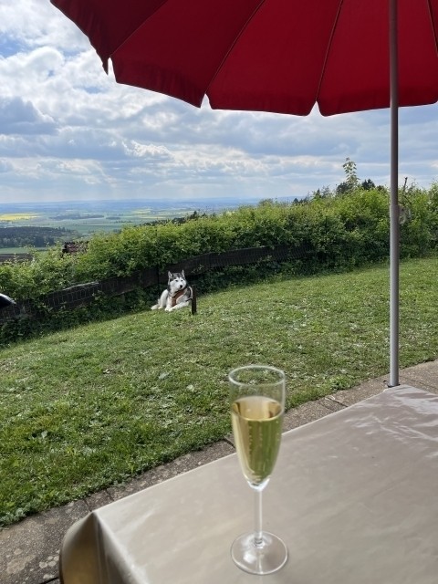 Blick von der Terrasse
