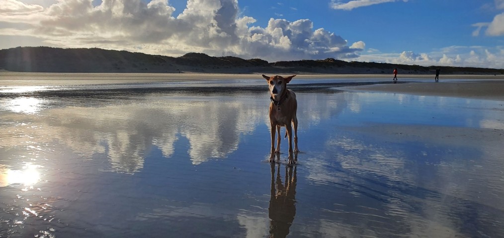 Die Lilli am Strand