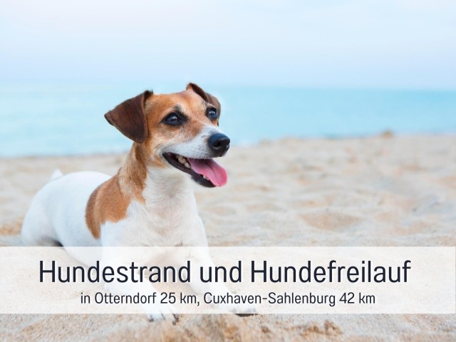 Umgebungsinformationen 