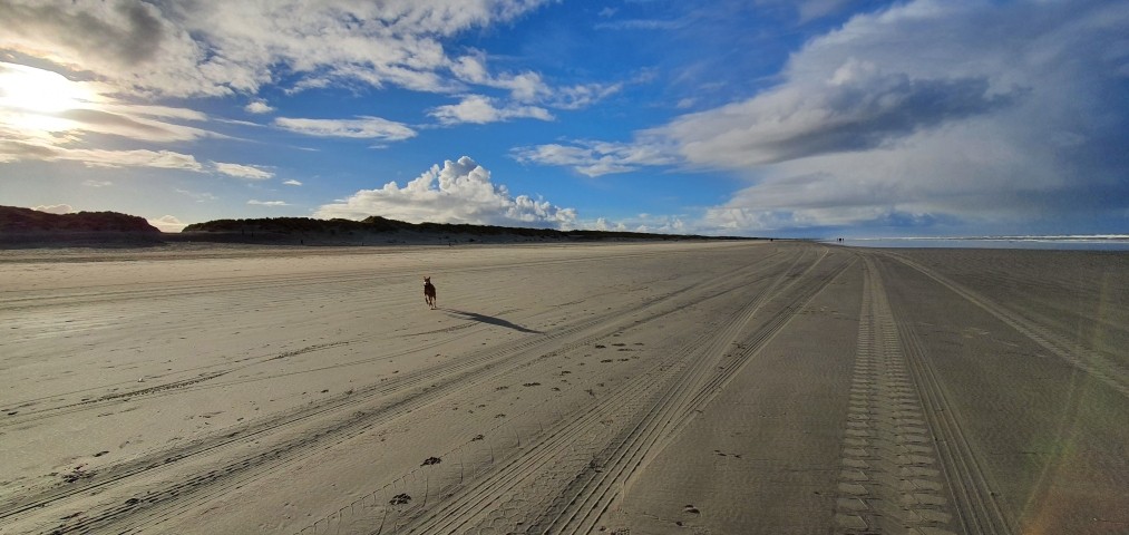Strand Buren