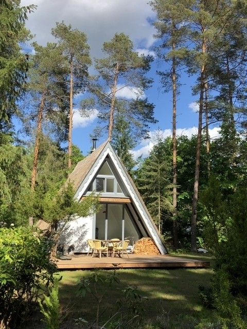Waldgrundstück