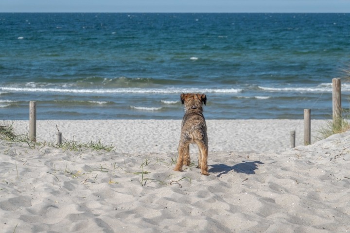 Bilder sagen mehr als tausend Worte