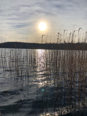 Lübbesee 