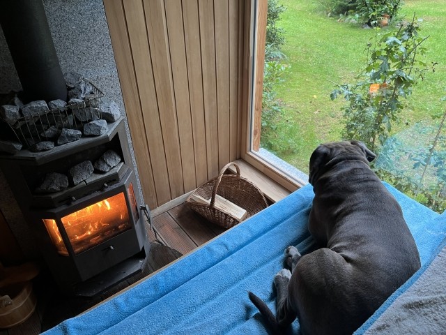 Blick aus der Sauna