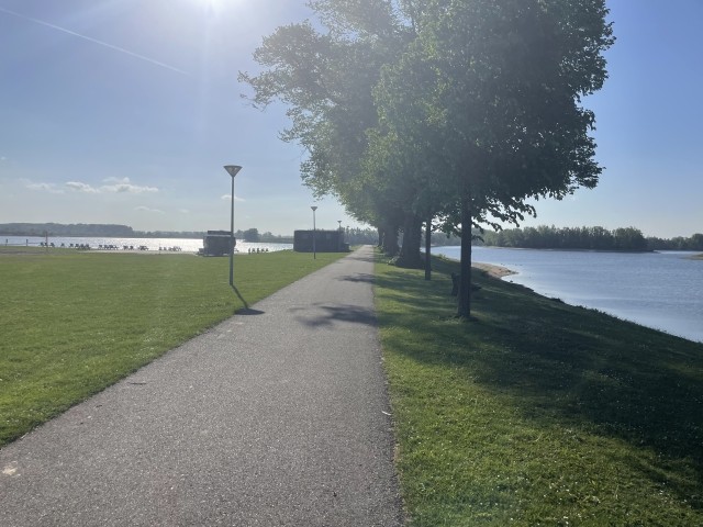 Der See