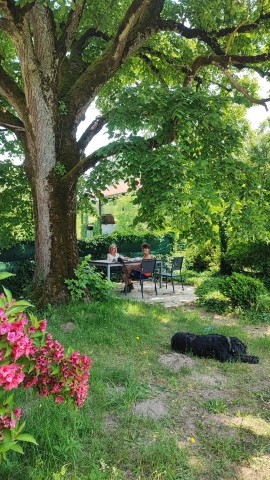 privater Garten