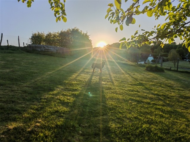 ... und die Abendsonne zu genießen