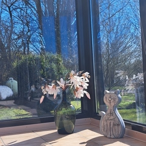 im Wintergarten