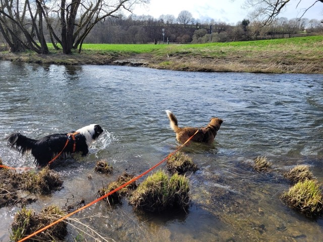 An der Eder 