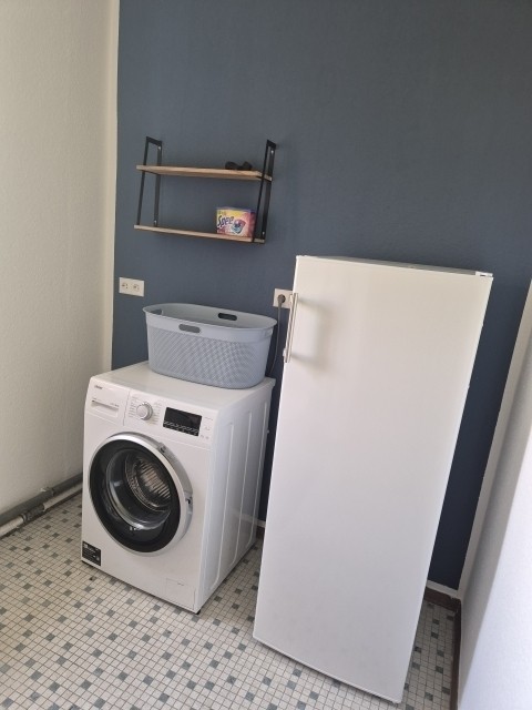 Kleiner Abstellraum mit Waschmaschine und Gefrierschrank 