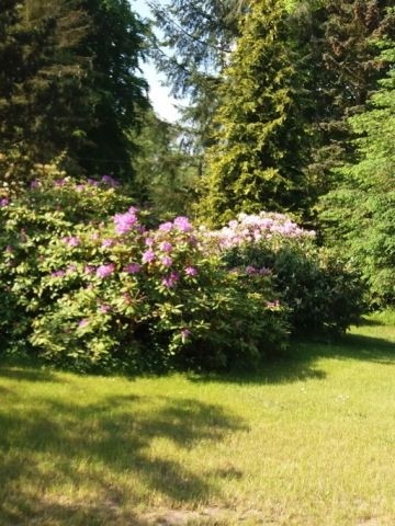 Garten Seeseite