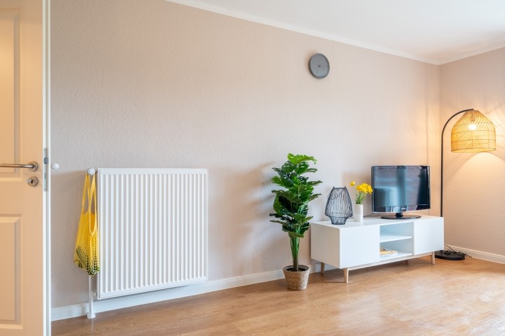 Fernseher