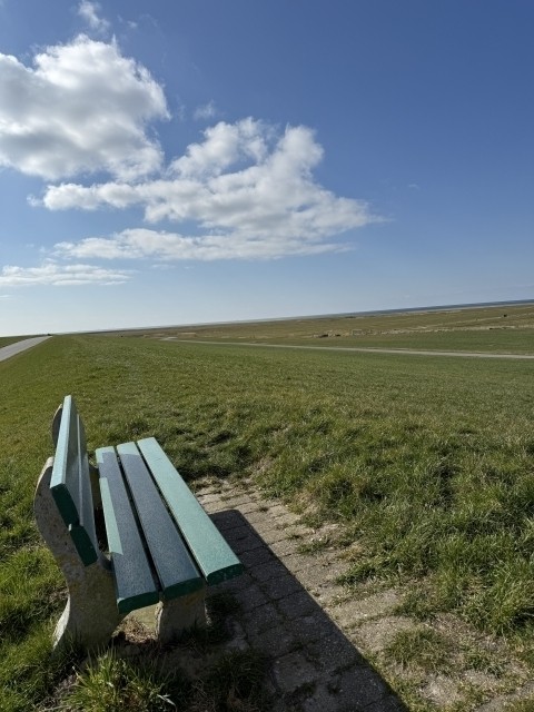 der Blick in die Ferne