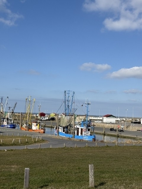 Kutterhafen