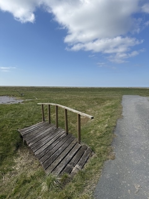 Neue Wege entdecken