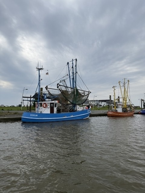 Kutterhafen