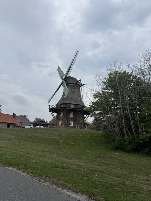 Mühle Midlum