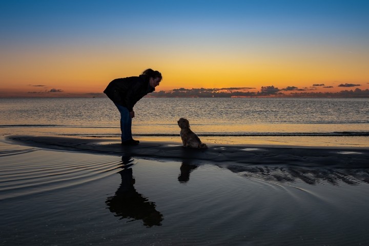 hundefreundliche Niederlande ?