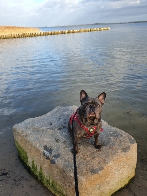 An unserem Strand