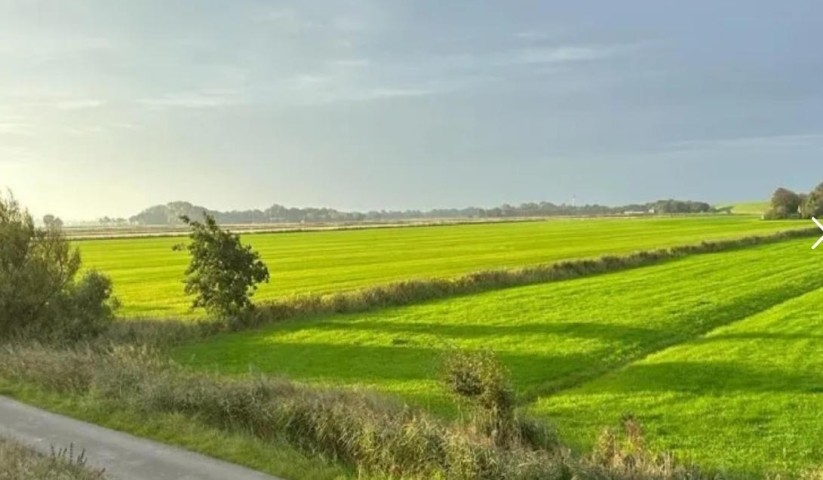 Süd-Aussicht