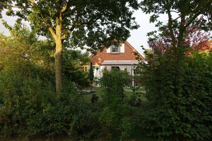 Der umwachsene Garten