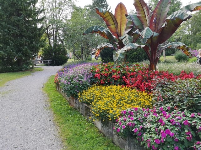 Kurpark 100 m vom Haus entfernt