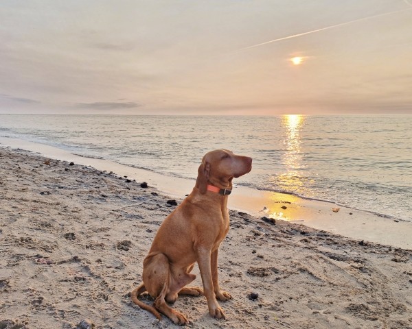Urlaub am Strand mit der ganzen Familie