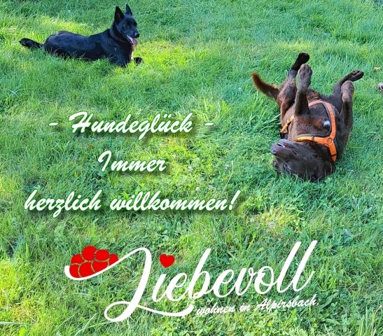 Fellnasenfreuden im Garten.